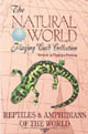 Reptiles & Amphibians of the Natural World Playing Cards by US Games Systems, Inc