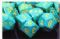 Dice - Speckled: Poly Set - Primula (Set of 7) by Chessex Manufacturing 