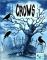 Crows by Valley Games