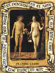 Fine Art Nudes Playing Cards by US Games Systems, Inc